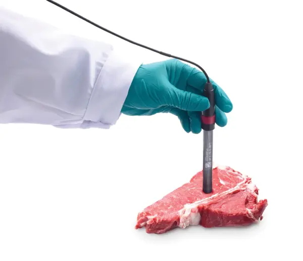 Ohaus STSURF Yüzey Tipi pH Elektrodu | Kağıt, Deri ve Agar Plakları İçin Düz Uçlu Sensör