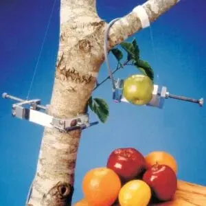 Dynamax DEX Dendrometre - Meyve ve Gövde Çapı Gelişim Sensörü