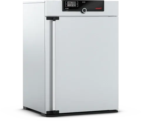 Memmert IN260 İnkübatör | 256 L, 80 °C, Doğal Konveksiyon