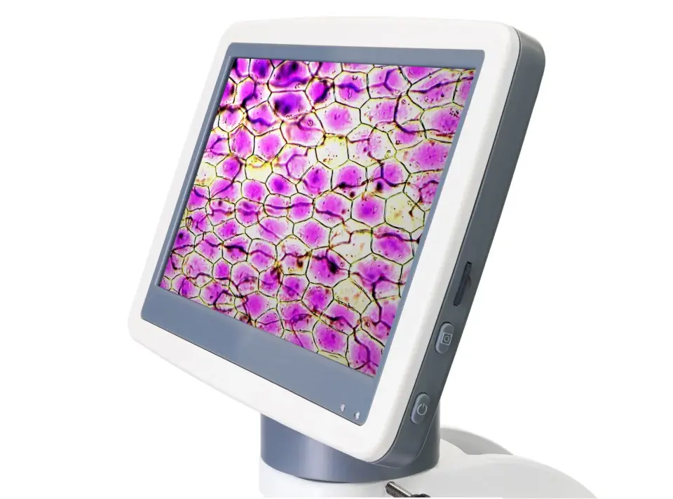 LEVENHUK D85L LCD Dijital Biyolojik Mikroskop | 40–1600×