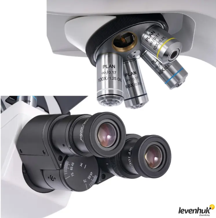 LEVENHUK MED 40B Binoküler Mikroskop