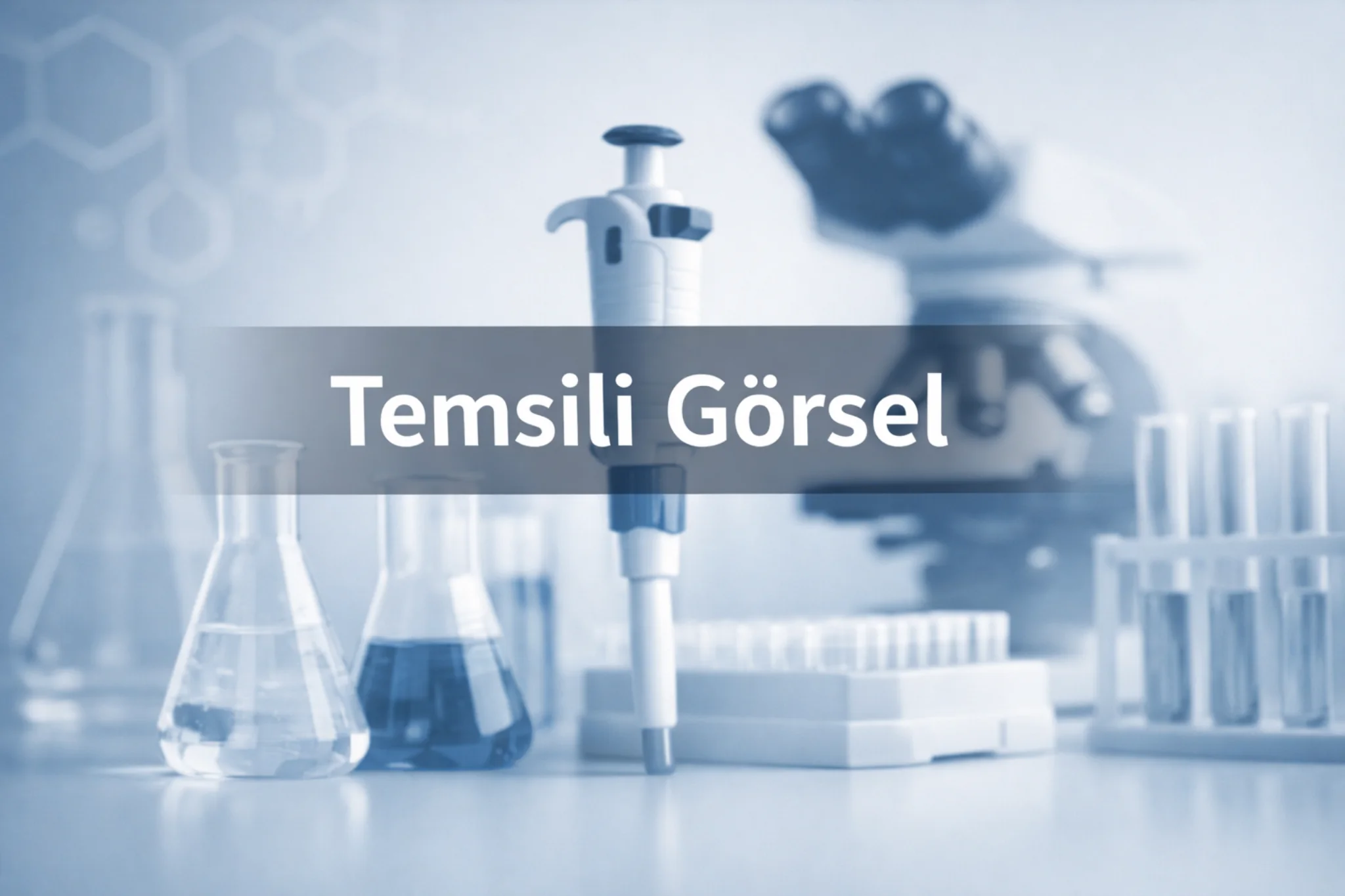 Kuru Blok Isıtıcı (Thermo Mixer / Dry Block Heater)